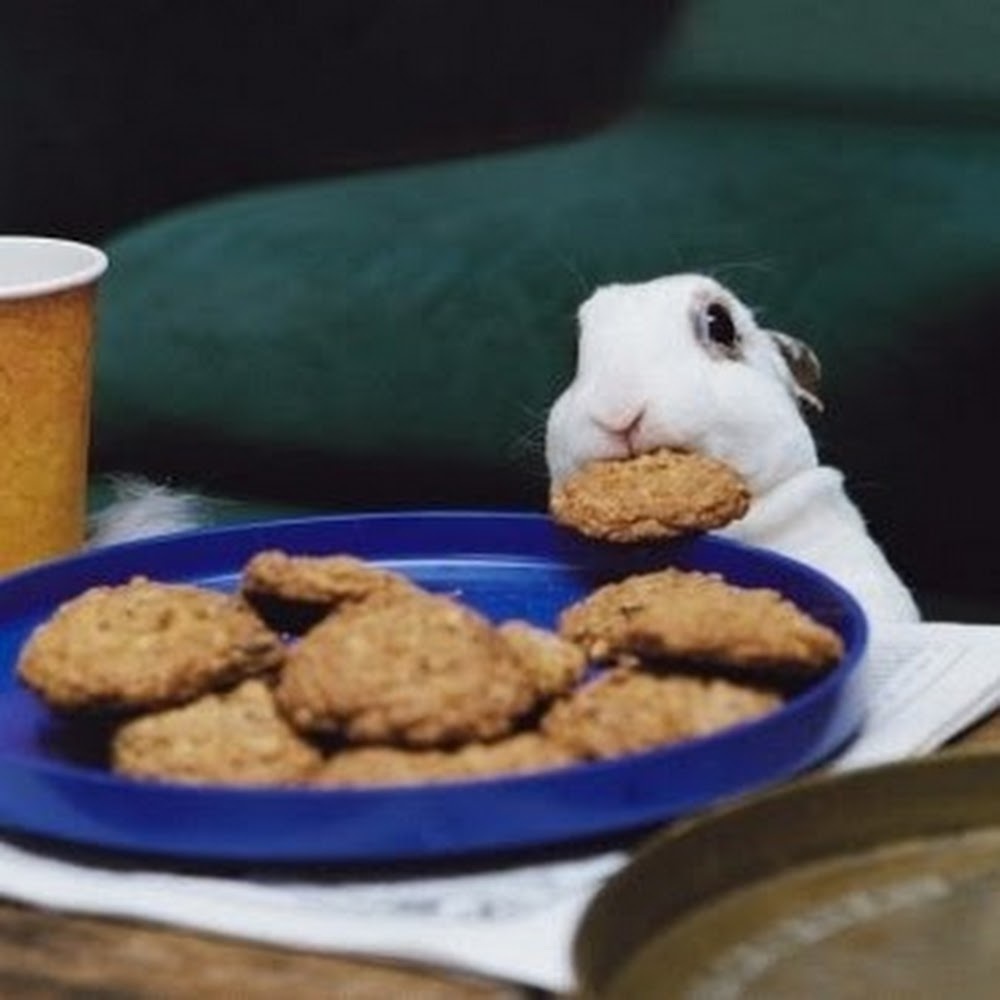 Meet your Posher, Kathryn